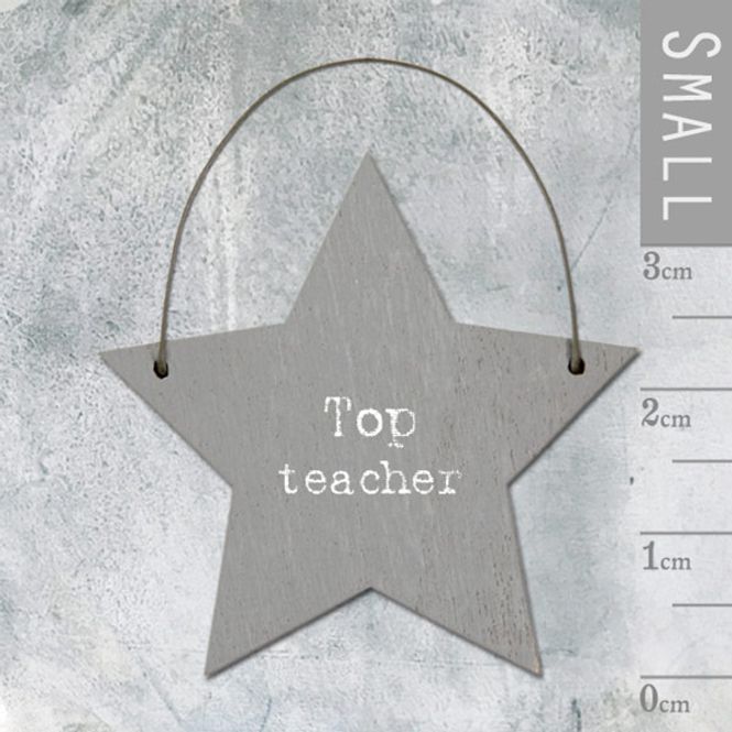 Hovedbilde Mini skilt stjerne Top teacher East of India