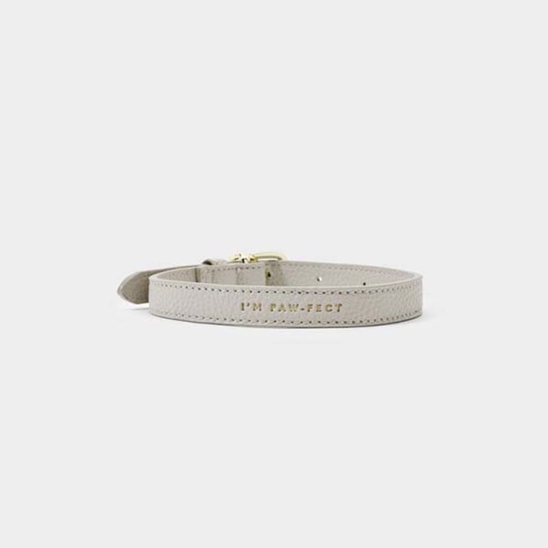 Hundehalsbånd I'M PAW-FECT grå S/M Katie Loxton